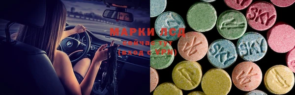шишки Алзамай