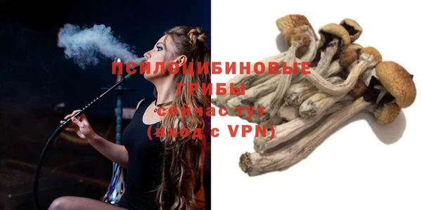 эйфоретик Алексин
