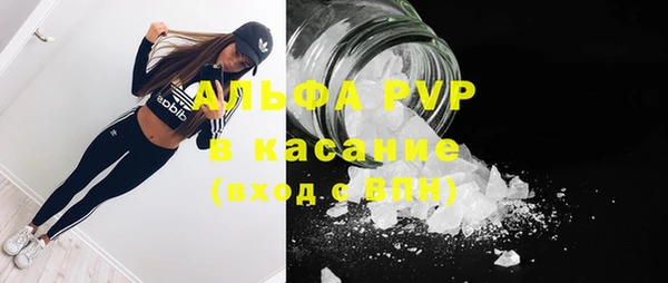 шишки Алзамай