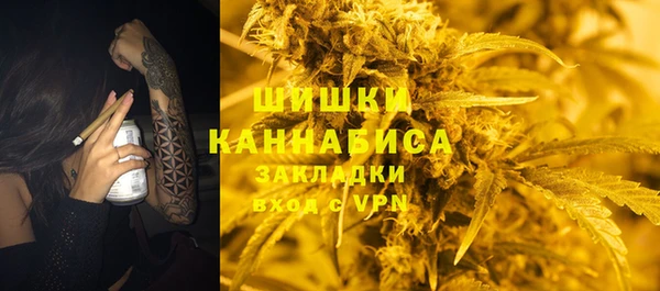 шишки Алзамай