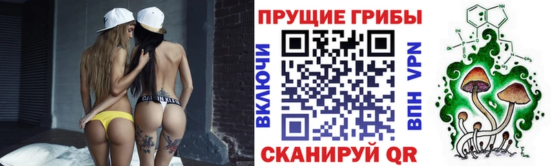 Псилоцибиновые грибы Psilocybine cubensis  Шатура 