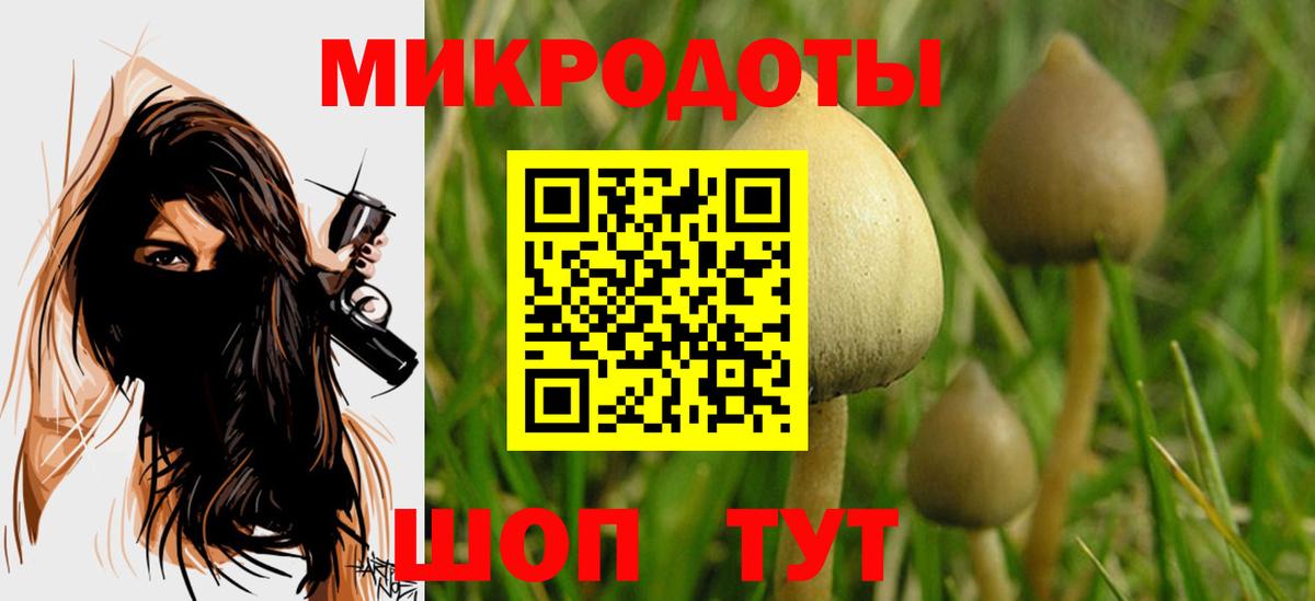 Галлюциногенные грибы мухоморы Шатура