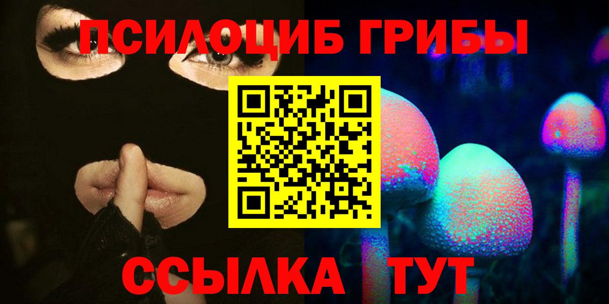 Шатура  продажа наркотиков  Вход с VPN  Псилоцибиновые грибы Psilocybine cubensis 